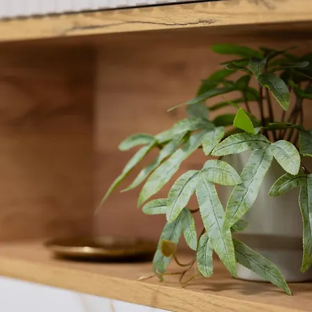 Elegant Grojecka In By Renters * 바르샤바